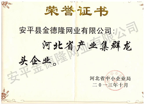 荣誉证书2.jpg